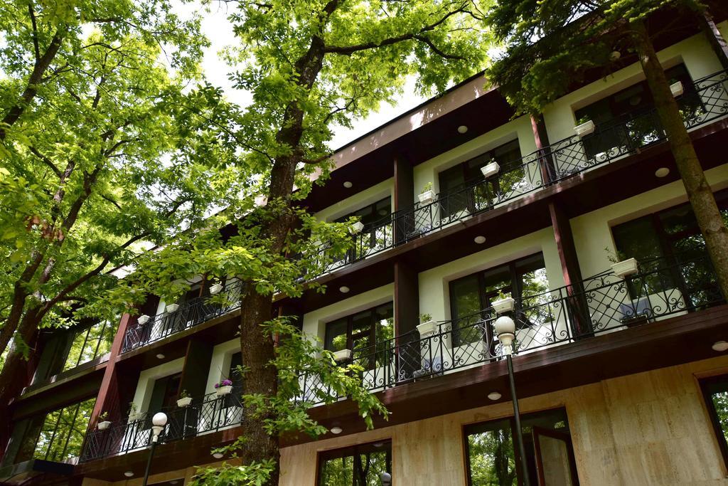 Boutique Hotel Lyulyak สตาโรซากอร์สกี บานี ภายนอก รูปภาพ